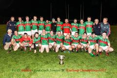 East-Cork-Jnr-B-Hurling-Champs-2015