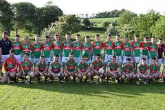 Intermediate-Hurling-panel-2014