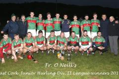 Jnr-Hurling-Lge-2-Champions-2015